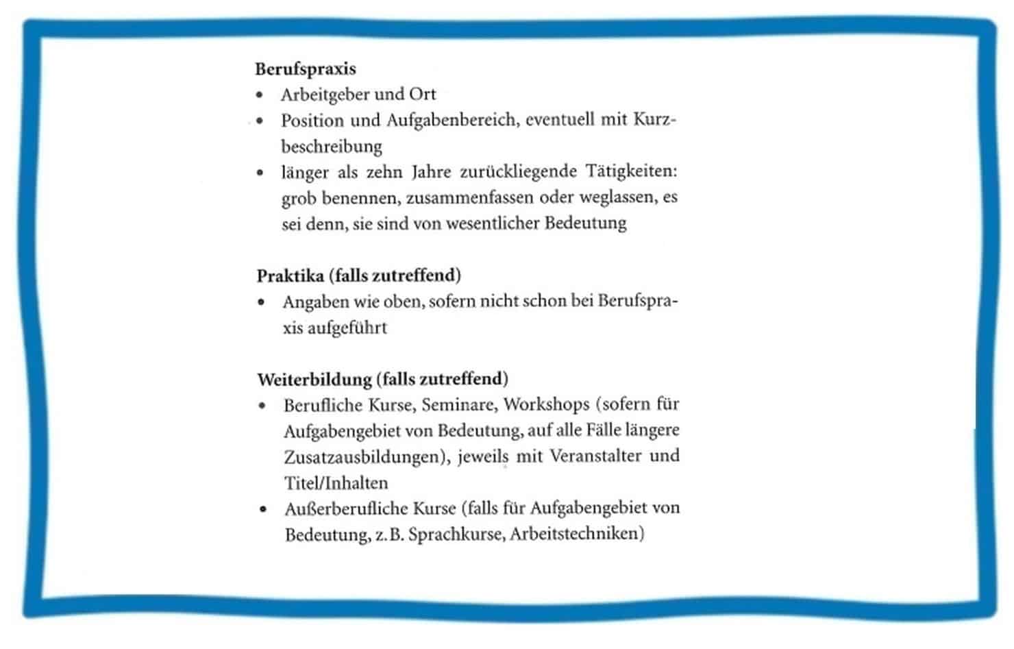 CV Vorlage Teil 4 Berufspraxis