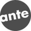 ante holz GmbH & Co. KG